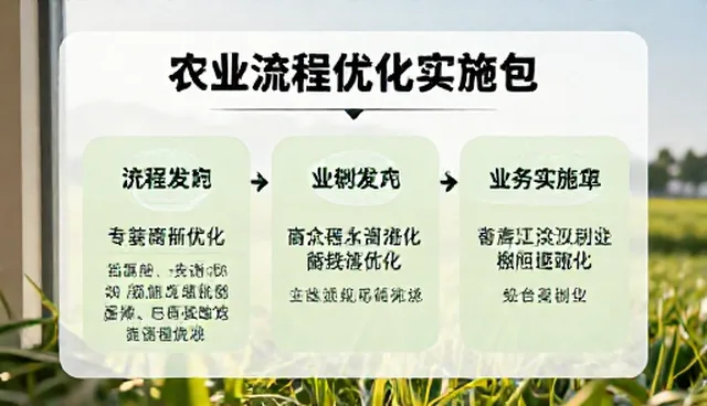 会务活动流程优化，如何提升效率与体验