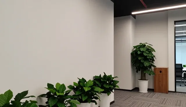 提升调研效率的关键策略与实践建议