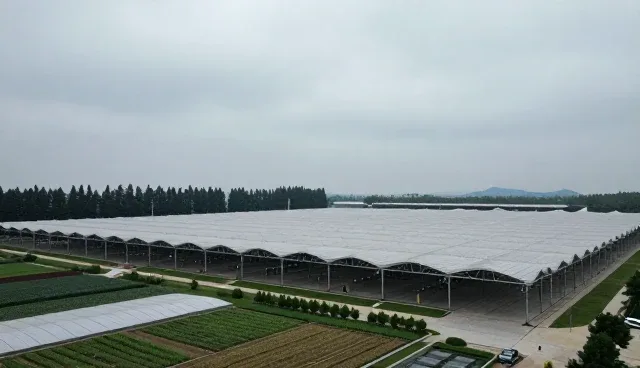 乐清网站建设中的企业查询服务应用与实践