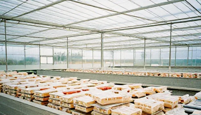 食品分装行业发展趋势与市场前景分析