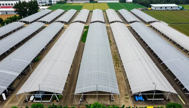 成果转化中的误区：性能差异如何影响最终结果