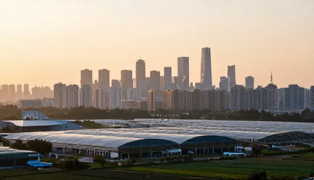 技术实施中的常见误区及维护策略分析