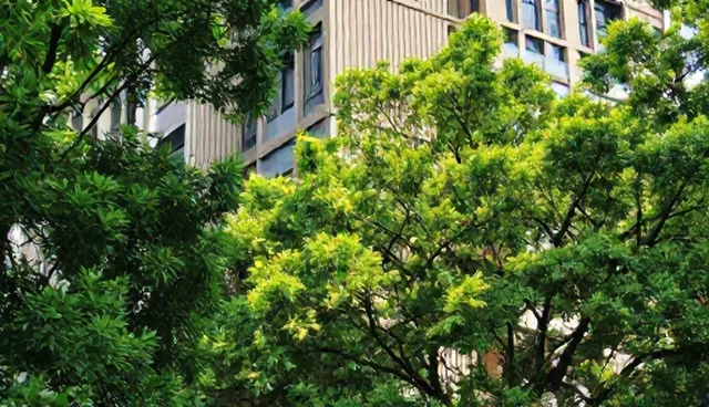 网站维护服务套餐如何选择，适用条件决定选型方向