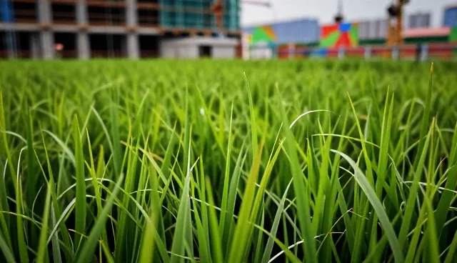管网工程性能表现与实际应用条件分析