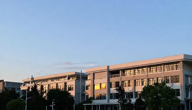 门户网站制作：上海网页设计公司助力企业信息高效传播