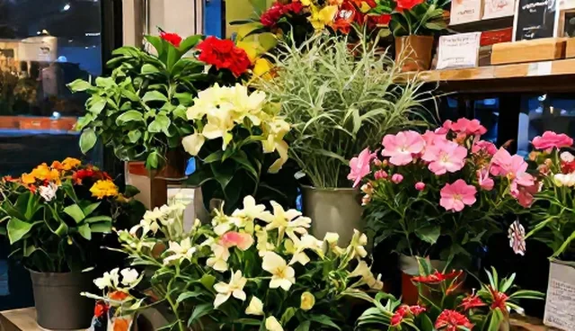 家庭农场种植技术指导的实际应用与价值