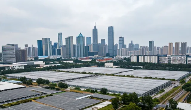 软件测试工具在企业资源管理系统中的常见问题分析