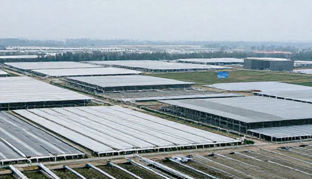技术外包业务中使用建议的适用情况与限制