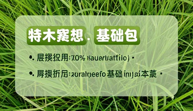 预算制定提示词，如何提高效率与精准度