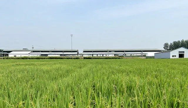 工程改造中常见安全运行问题及应对策略