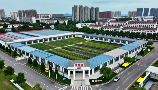 技术选型关注点如何影响业务效率提升