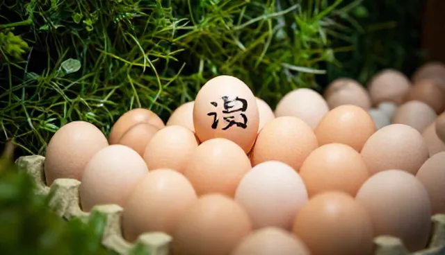 特色禽蛋病虫害防治的关键使用与维护建议