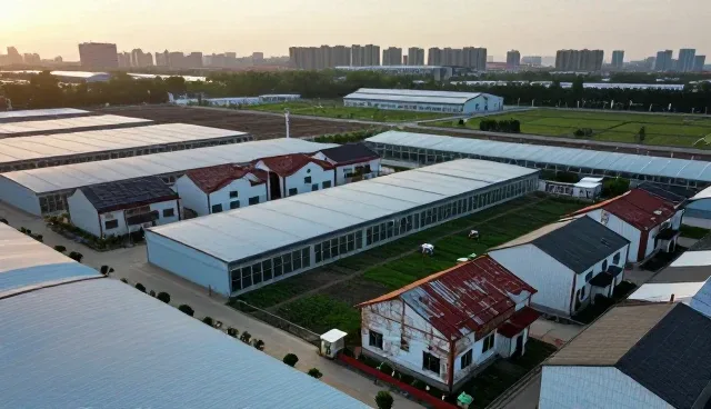 黄页数据维护中的区域支持策略与实践
