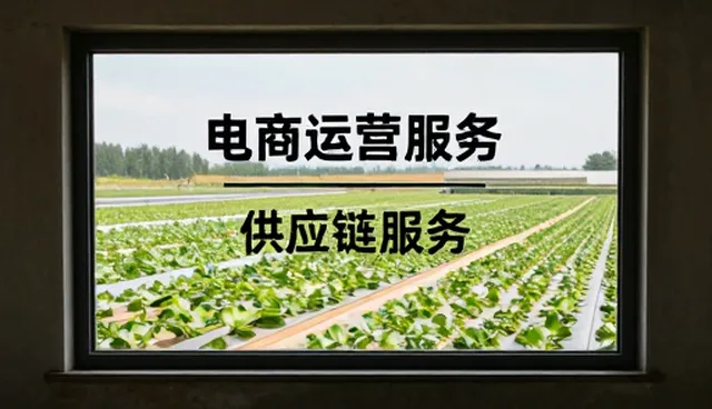 供应链优化中的常见问题及处理策略