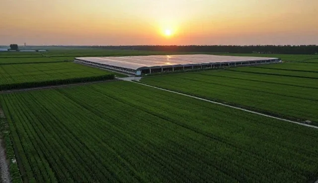 技术集成中的性能优化与适用条件分析