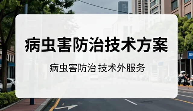 技术外包服务中的成果转化关注点分析