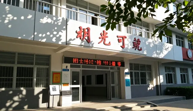 查询服务的性能表现与适用条件分析