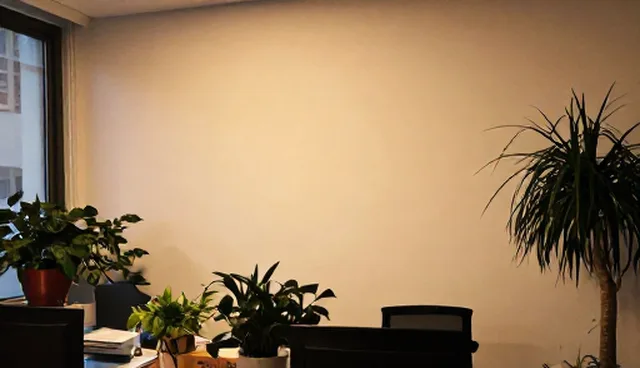 短视频拍摄中的脚本设计与拍摄执行环节分析