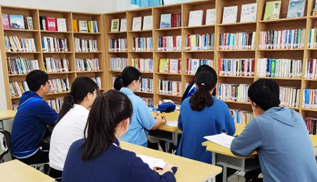 师资培训计划在教育咨询中的应用与挑战