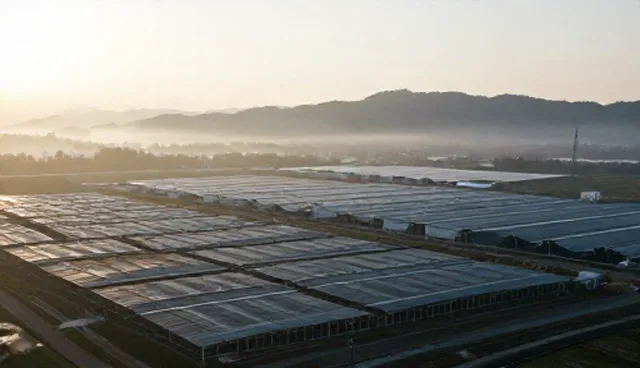 构建高效培训体系的关键要素与业务趋势洞察