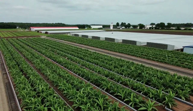 业务匹配视角下企业战略规划套餐的实践路径