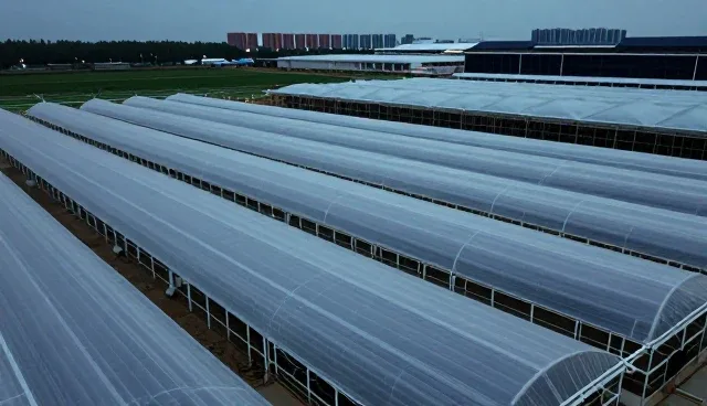 生物基塑料选型中的关键考量因素分析