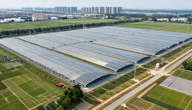 品牌咨询中信息录入的适用情况与限制