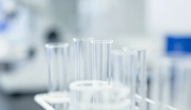 项目管理视角下的系统稳定性关键考量