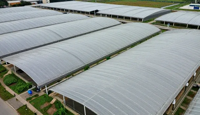 系统集成性能优化：选型、维护与业务趋势建议