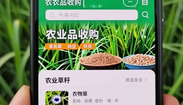 如何在苗木采购中实现成本控制与品质保障的平衡