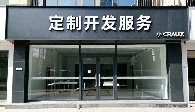 技术开发项目中管理办法的常见问题与应对策略