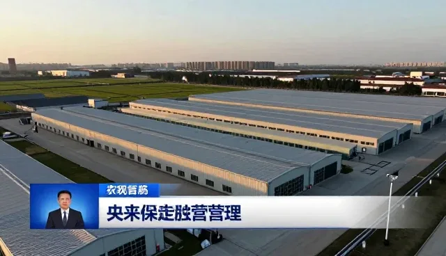 智能客服系统日常使用中的常见问题与应对策略