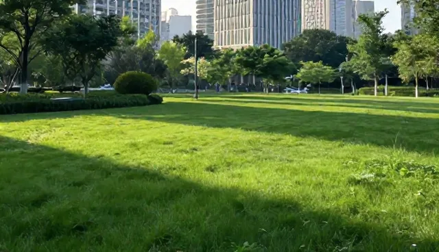 系统维护中的常见问题及优化策略，提升运维效率