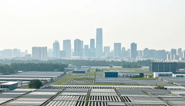 企业信用查询服务在贸易中的性能表现与适用场景分析