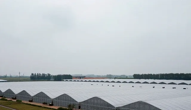 企业营销推广：媒介投放运营策略分析