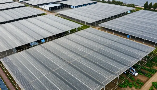 技术型业务选型中的方案关注点分析