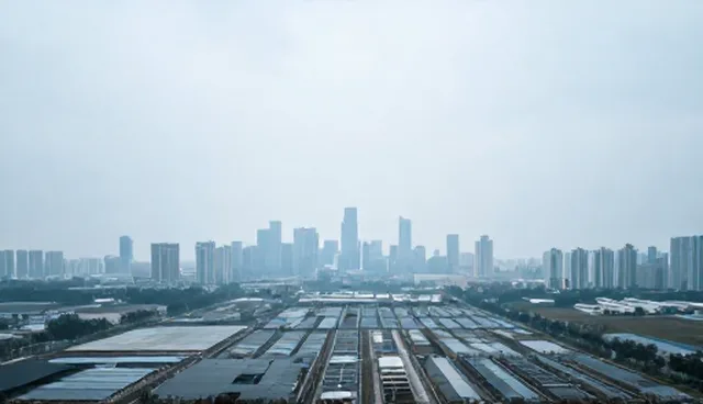 任务分配中的团队协作关键与优化策略
