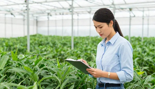 技术培训中的故障处理方法及性能优化策略