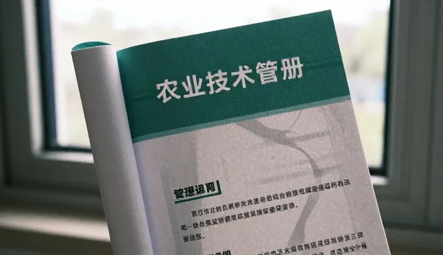 种苗市场对接中的关键因素与实践路径