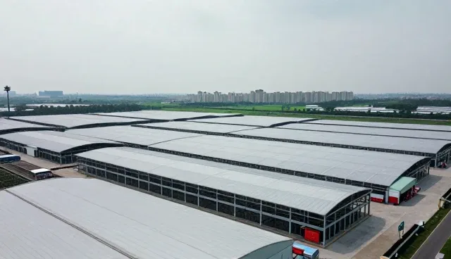 提升系统兼容性：平面设备在企业中的应用与维护要点