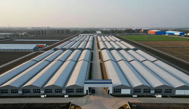 特种溶剂在不同应用场景中的性能表现分析