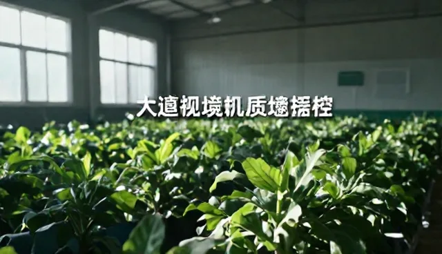 创意实现中的选型关注点与执行策略