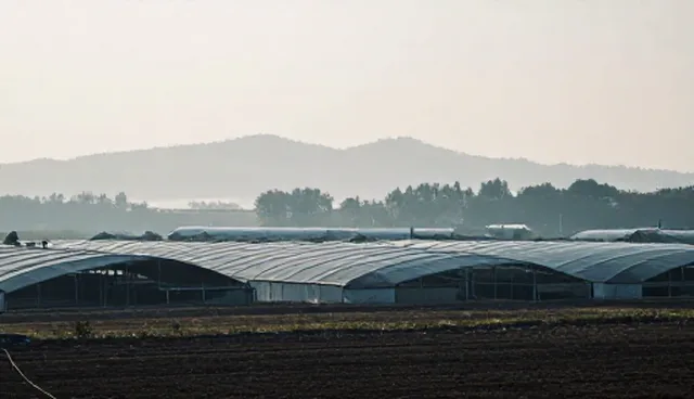 适用边界：法律咨询在企业登记中的实际应用条件