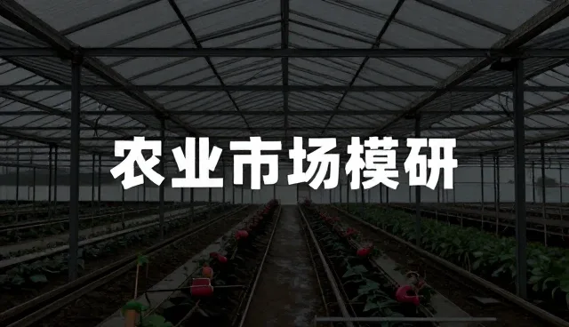 如何从数据采集到分析，提升市场调研效率