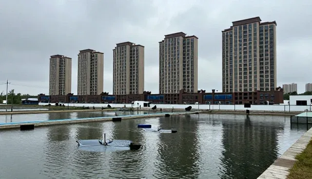 科学养殖水产品加工中的常见问题与应对策略