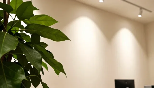 直播运营如何重塑品牌策略的底层逻辑