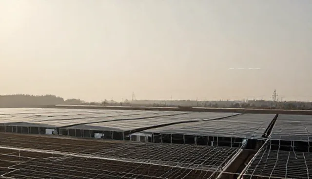 项目管理中数据分析平台的选型与维护建议