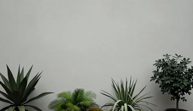 GEO服务商如何通过搜索优化提升用户体验