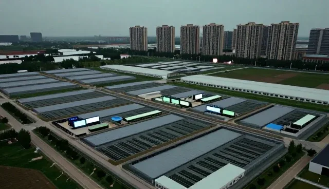农产品销售中质量把控的实践路径与趋势分析
