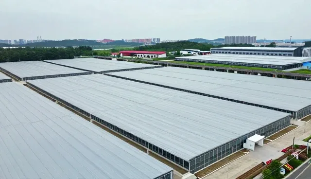 提升用户体验：数据传输服务的关键维护策略